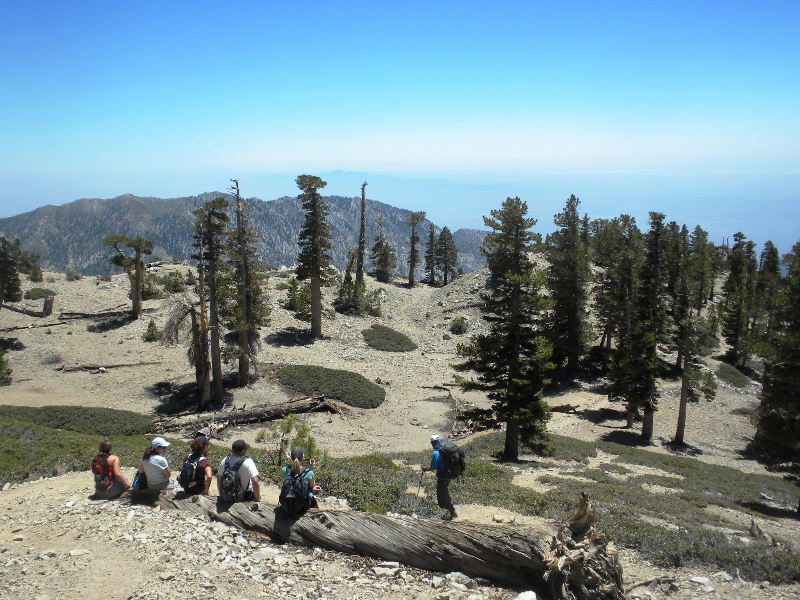 baldy70410 055.jpg